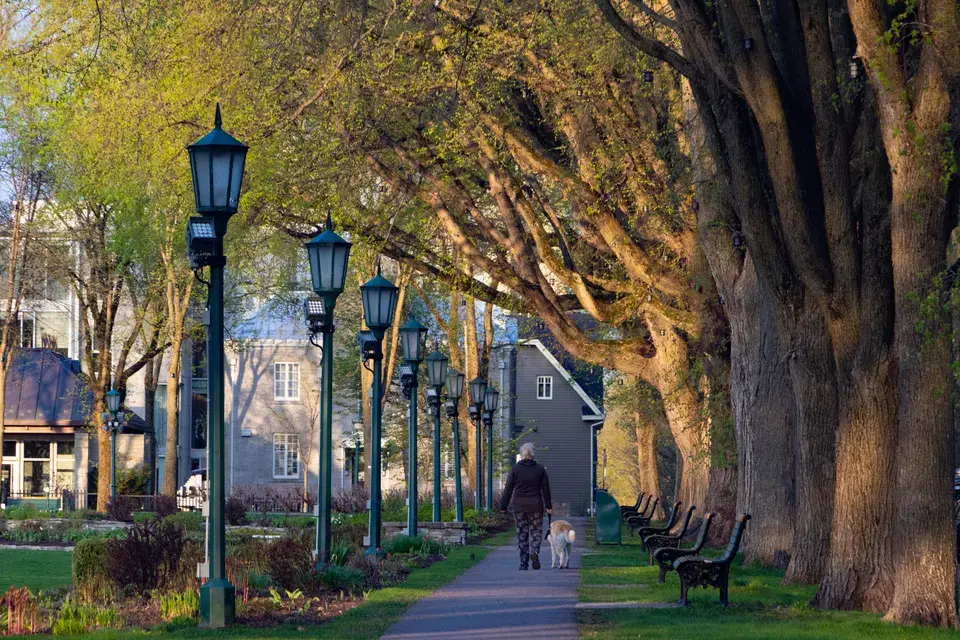 Serving the Tigard Community — Tigard, OR
